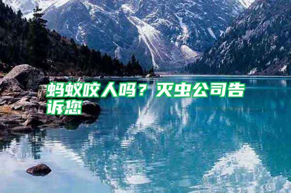 蚂蚁咬人吗？灭虫公司告诉您