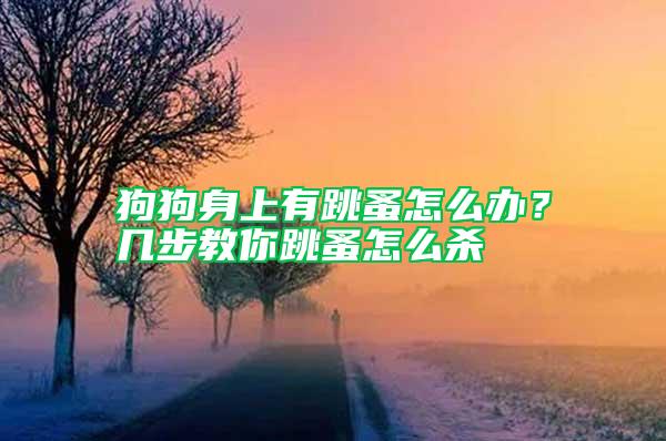 狗狗身上有跳蚤怎么办？几步教你跳蚤怎么杀