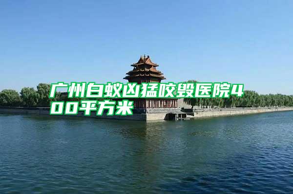 广州白蚁凶猛咬毁医院400平方米