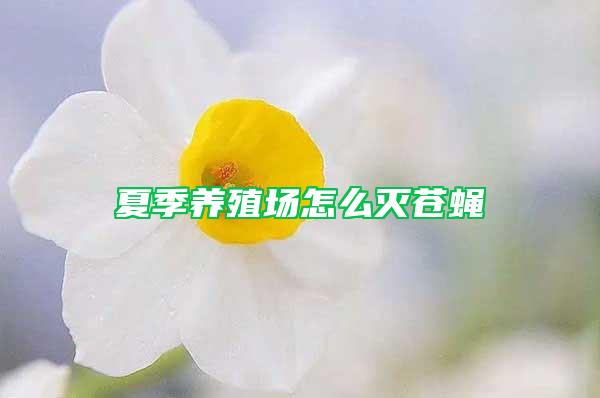 夏季养殖场怎么灭苍蝇