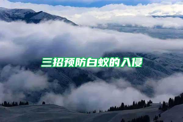三招预防白蚁的入侵