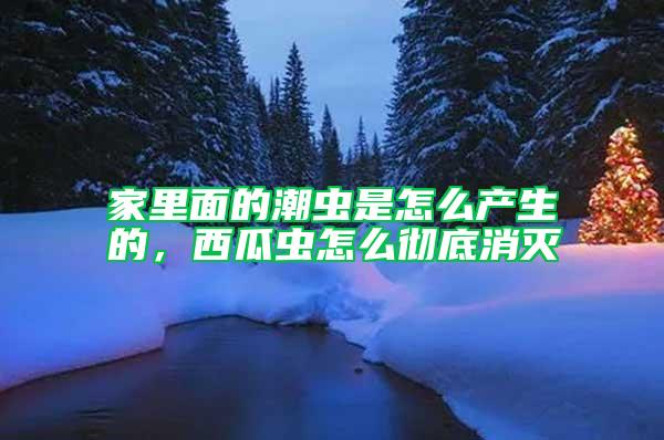 家里面的潮虫是怎么产生的，西瓜虫怎么彻底消灭