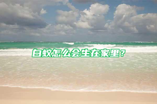 白蚁怎么会生在家里？