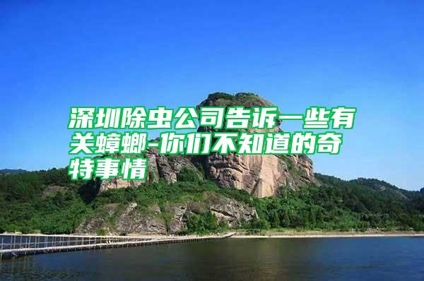 深圳除虫公司告诉一些有关蟑螂-你们不知道的奇特事情