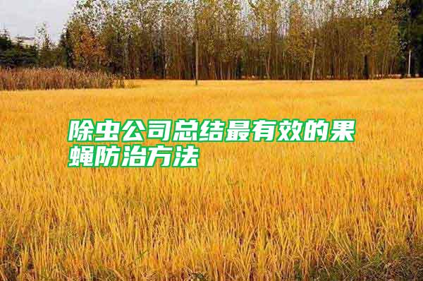 除虫公司总结最有效的果蝇防治方法