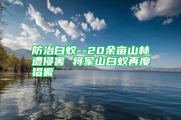 防治白蚁--20余亩山林遭侵害 将军山白蚁再度猖獗