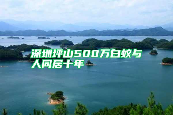 深圳坪山500万白蚁与人同居十年