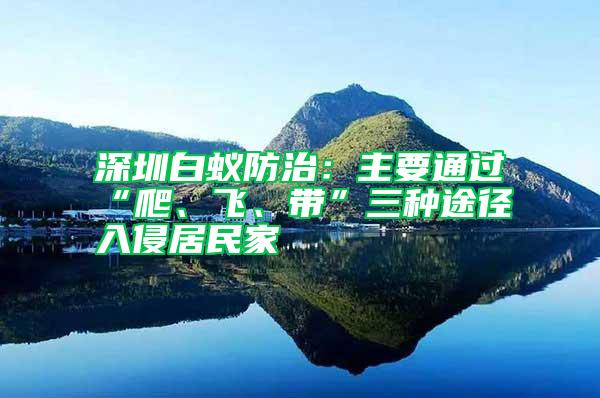 深圳白蚁防治：主要通过“爬、飞、带”三种途径入侵居民家