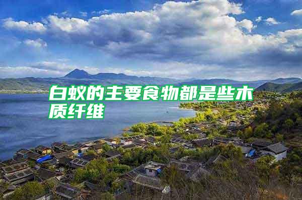白蚁的主要食物都是些木质纤维