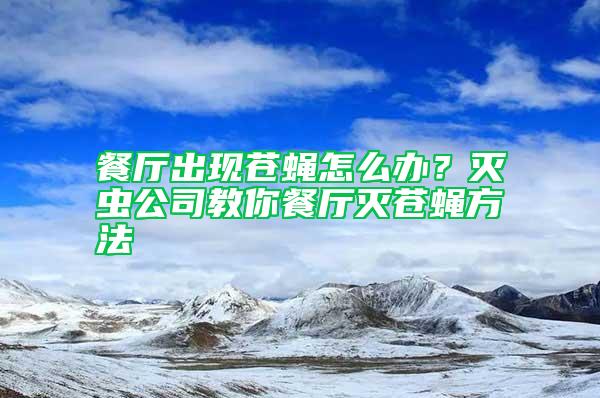 餐厅出现苍蝇怎么办？灭虫公司教你餐厅灭苍蝇方法