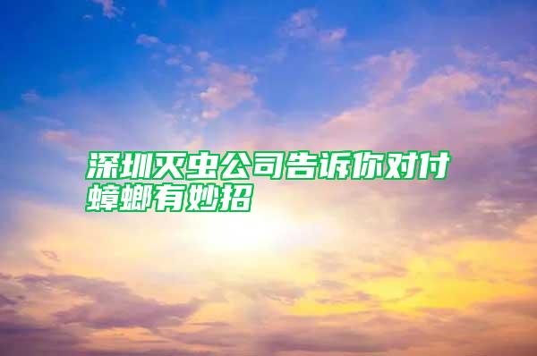 深圳灭虫公司告诉你对付蟑螂有妙招