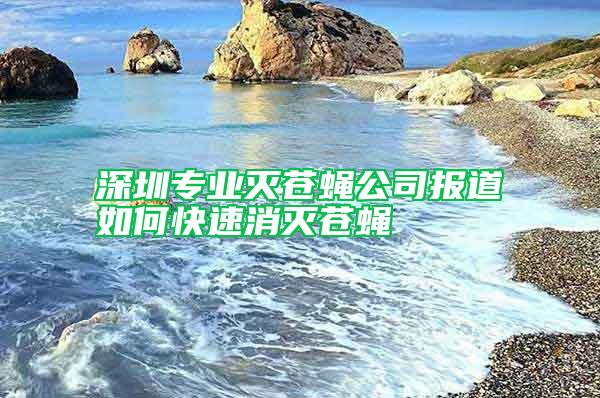 深圳专业灭苍蝇公司报道如何快速消灭苍蝇