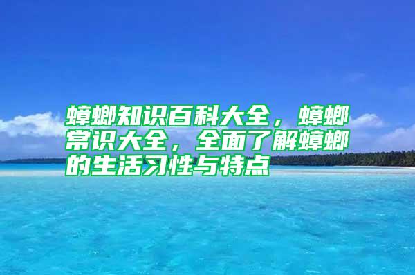 蟑螂知识百科大全，蟑螂常识大全，全面了解蟑螂的生活习性与特点