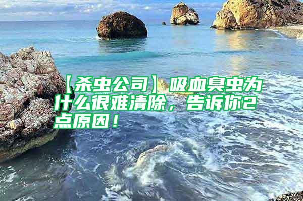 【杀虫公司】吸血臭虫为什么很难清除，告诉你2点原因！