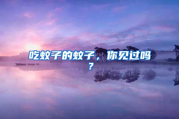 吃蚊子的蚊子，你见过吗？