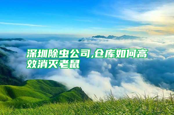 深圳除虫公司,仓库如何高效消灭老鼠