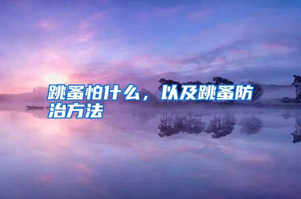 跳蚤怕什么，以及跳蚤防治方法