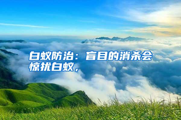 白蚁防治：盲目的消杀会惊扰白蚁，