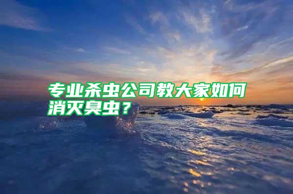 专业杀虫公司教大家如何消灭臭虫？
