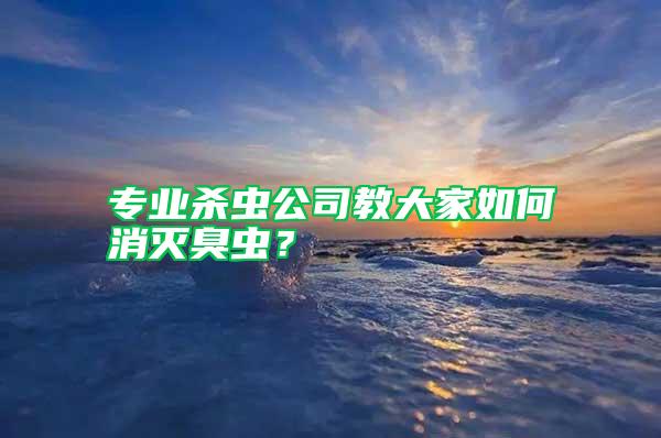 专业杀虫公司教大家如何消灭臭虫？