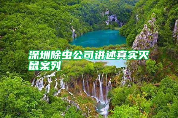 深圳除虫公司讲述真实灭鼠案列