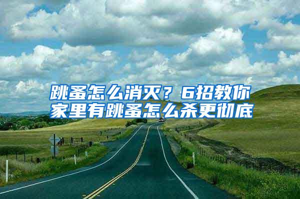 跳蚤怎么消灭？6招教你家里有跳蚤怎么杀更彻底