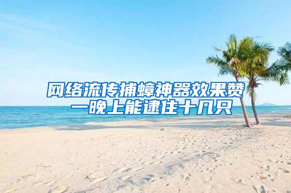 网络流传捕蟑神器效果赞 一晚上能逮住十几只