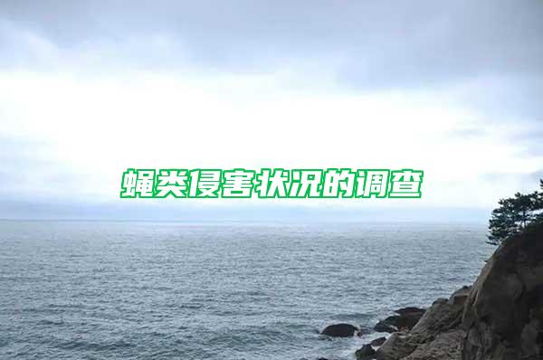 蝇类侵害状况的调查