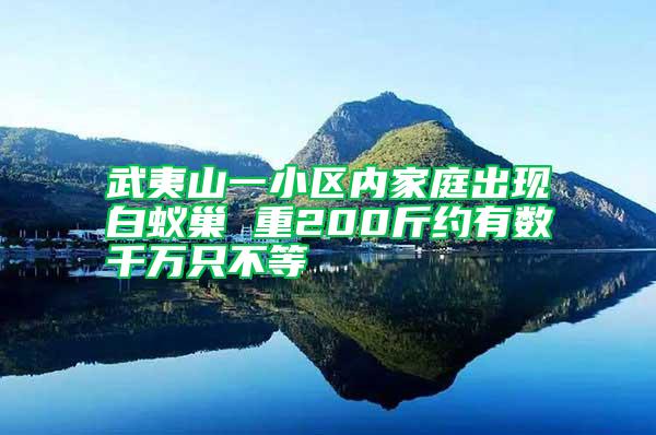 武夷山一小区内家庭出现白蚁巢 重200斤约有数千万只不等