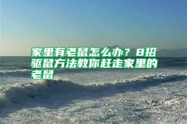 家里有老鼠怎么办？8招驱鼠方法教你赶走家里的老鼠