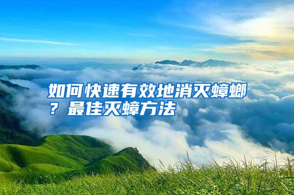 如何快速有效地消灭蟑螂？最佳灭蟑方法