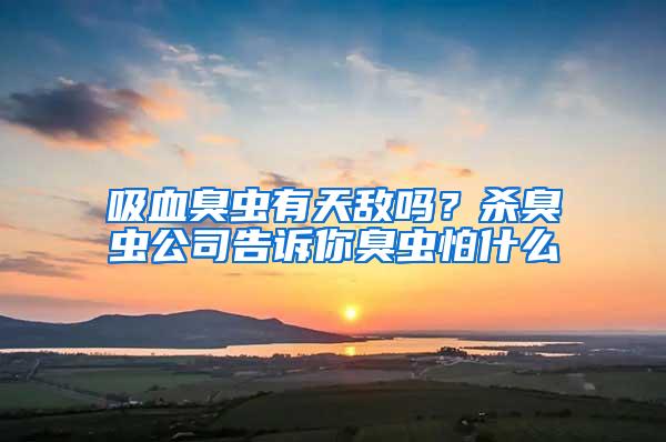 吸血臭虫有天敌吗？杀臭虫公司告诉你臭虫怕什么