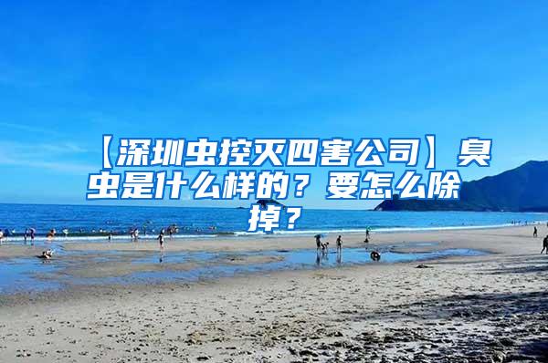 【深圳虫控灭四害公司】臭虫是什么样的？要怎么除掉？