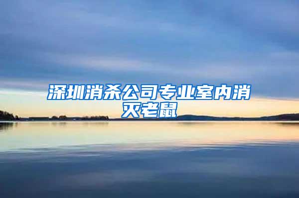 深圳消杀公司专业室内消灭老鼠