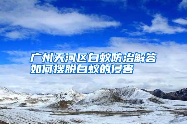 广州天河区白蚁防治解答如何摆脱白蚁的侵害