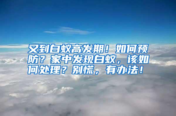 又到白蚁高发期！如何预防？家中发现白蚁，该如何处理？别慌，有办法！