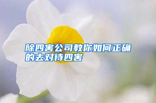 除四害公司教你如何正确的去对待四害