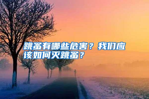 跳蚤有哪些危害？我们应该如何灭跳蚤？