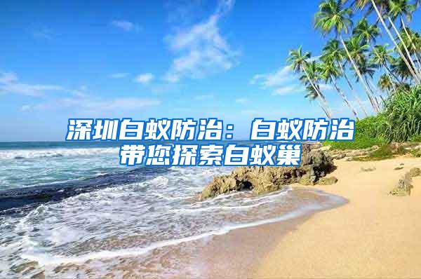 深圳白蚁防治：白蚁防治带您探索白蚁巢