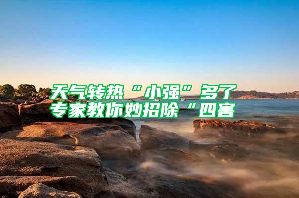 天气转热“小强”多了 专家教你妙招除“四害