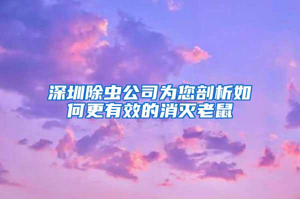 深圳除虫公司为您剖析如何更有效的消灭老鼠