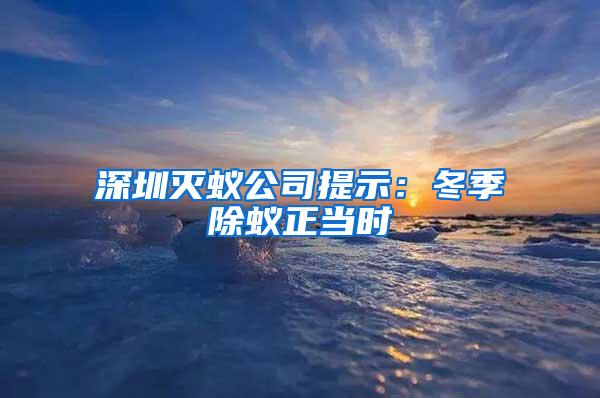 深圳灭蚁公司提示：冬季除蚁正当时