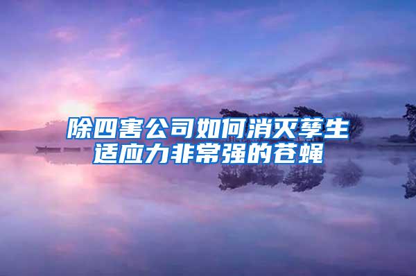 除四害公司如何消灭孳生适应力非常强的苍蝇