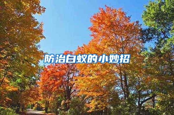 防治白蚁的小妙招