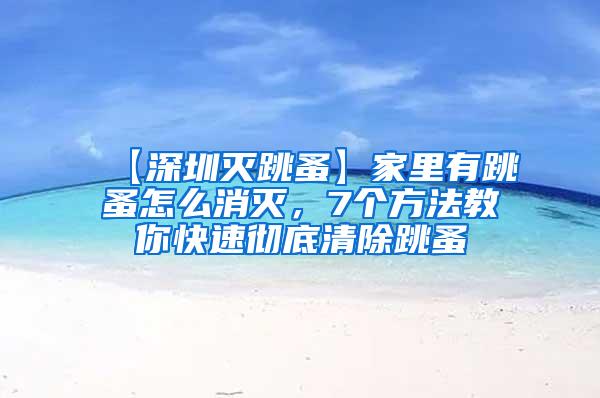 【深圳灭跳蚤】家里有跳蚤怎么消灭，7个方法教你快速彻底清除跳蚤