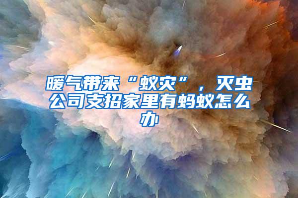 暖气带来“蚁灾”，灭虫公司支招家里有蚂蚁怎么办