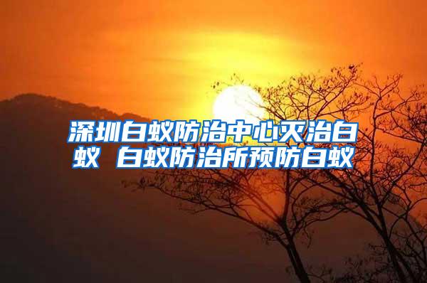 深圳白蚁防治中心灭治白蚁 白蚁防治所预防白蚁