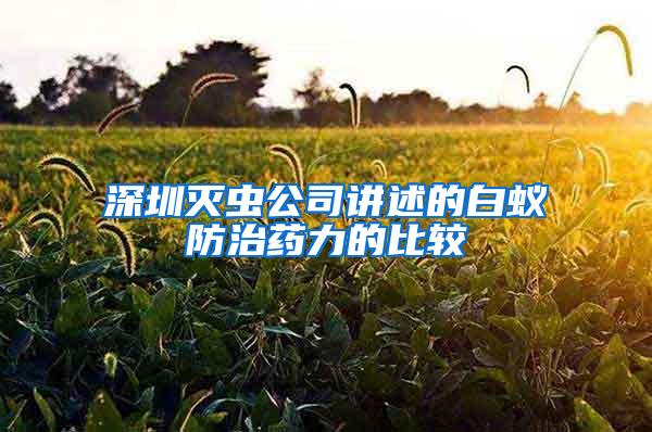 深圳灭虫公司讲述的白蚁防治药力的比较