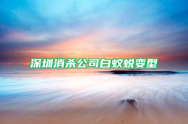 深圳消杀公司白蚁蜕变型