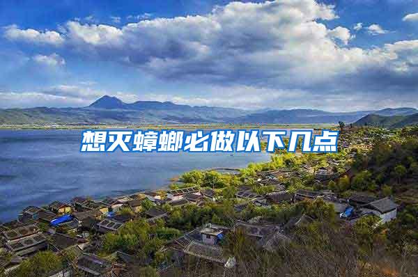 想灭蟑螂必做以下几点